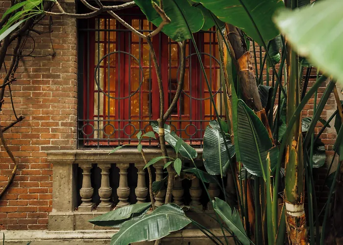 Maison Du Comte Hotel Mexiko-Stadt